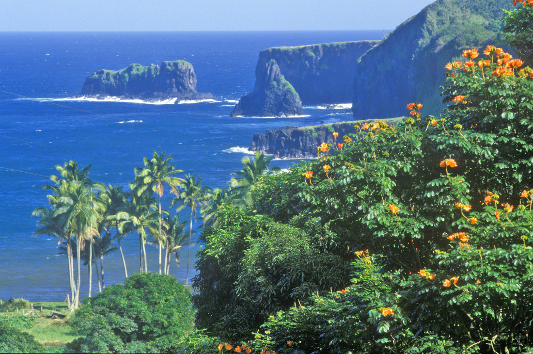 Hawaii Cruise Expert Advice