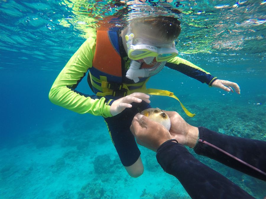 Child in a snorkel mask and flotation vest looking at a sea creature underwater with an adult